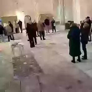 Shaping The Future Within